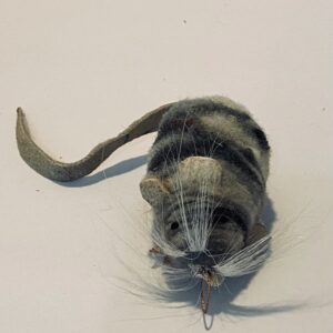 Wooly mouse