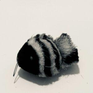 Zebra Fish(rod not included)