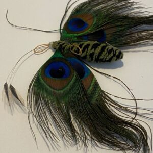Peacock Butterfly